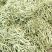 大量供应山西应县白不老、白王豆角
