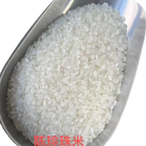陈珍珠米1.81元每斤裸米含税价