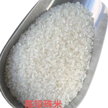 陈珍珠米1.81元每斤裸米含税价