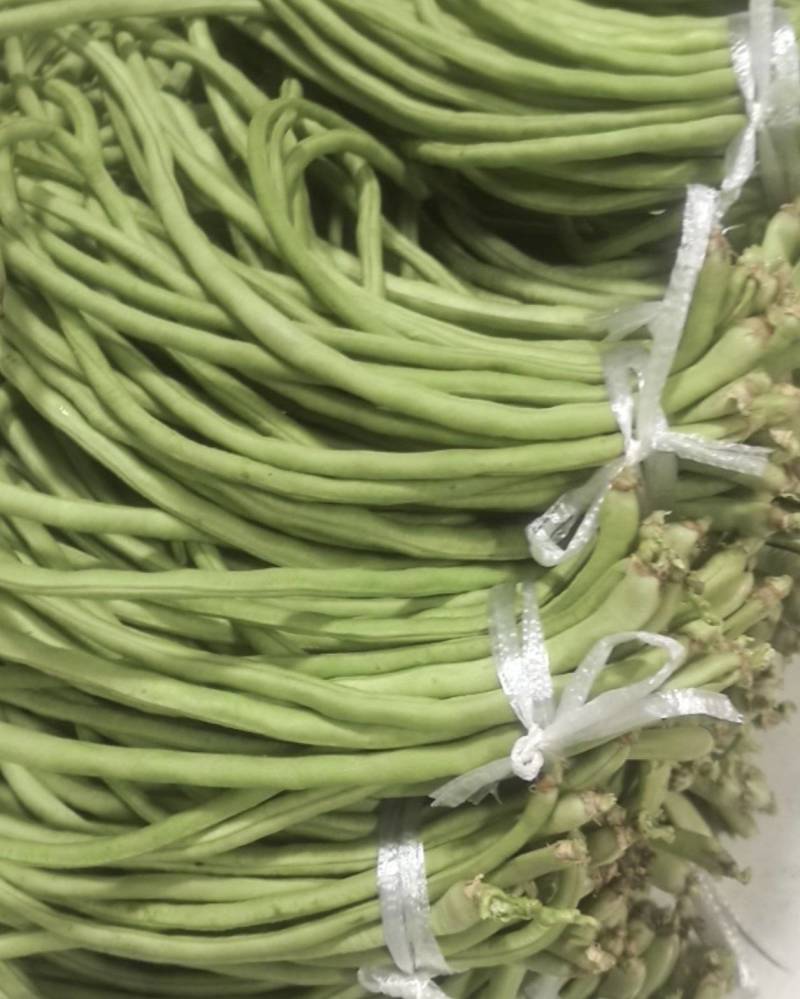 豆角，自己桃园里种的，每天100多斤