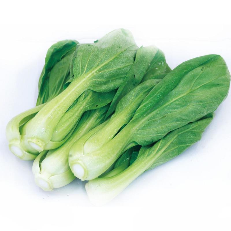 陕西西安瓢儿青菜