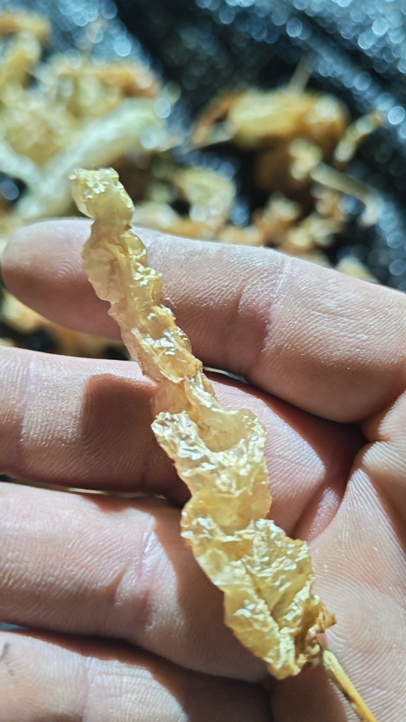 水煮无盐白辣椒