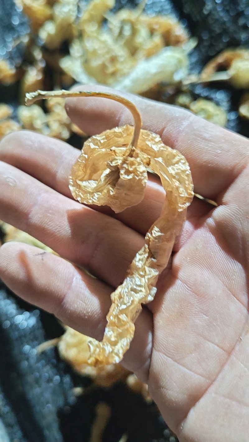 水煮无盐白辣椒