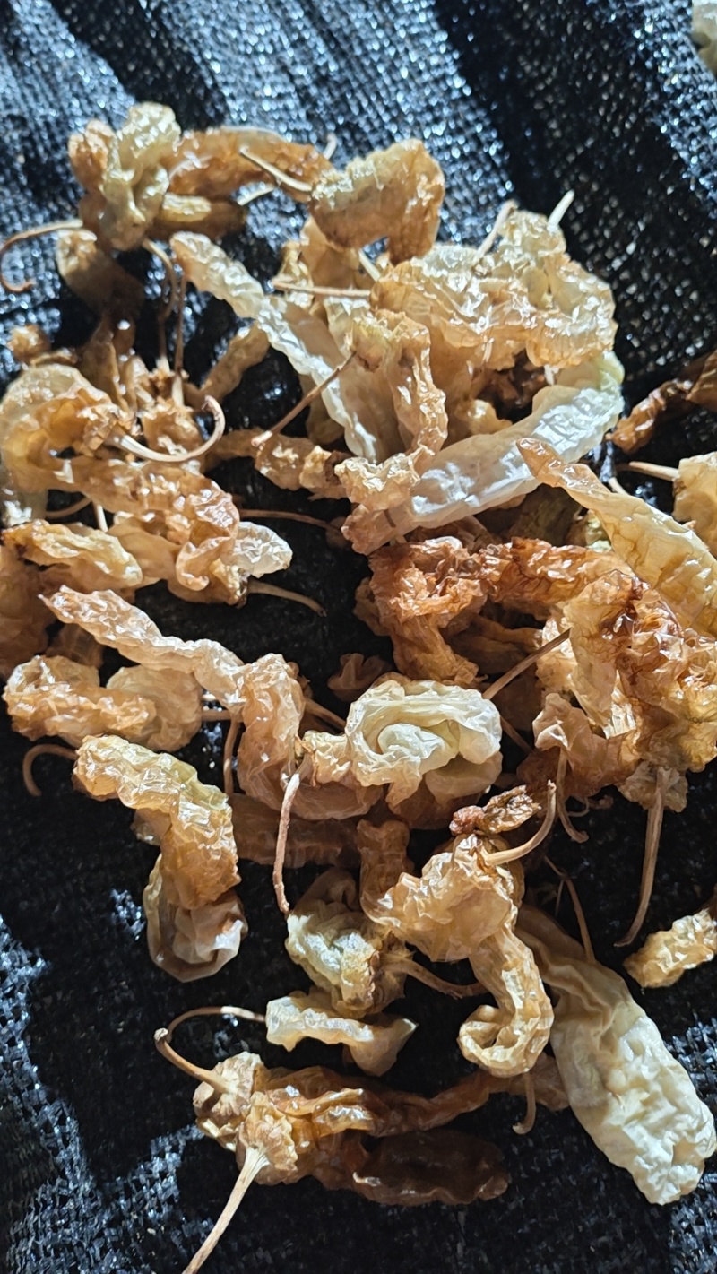 水煮无盐白辣椒
