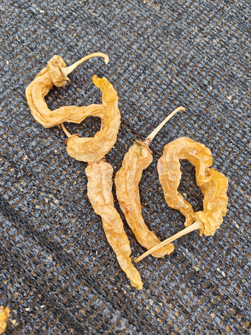 水煮无盐白辣椒