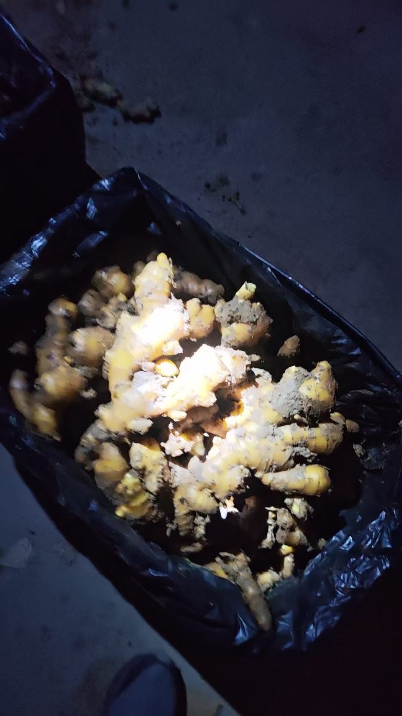山东产地大姜大量现货供应货发全国批发水洗电商