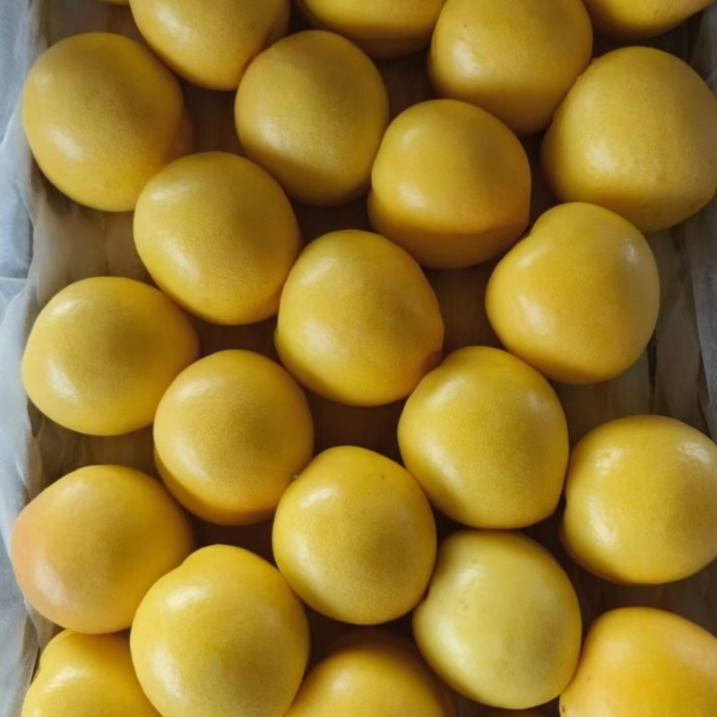 黄油桃