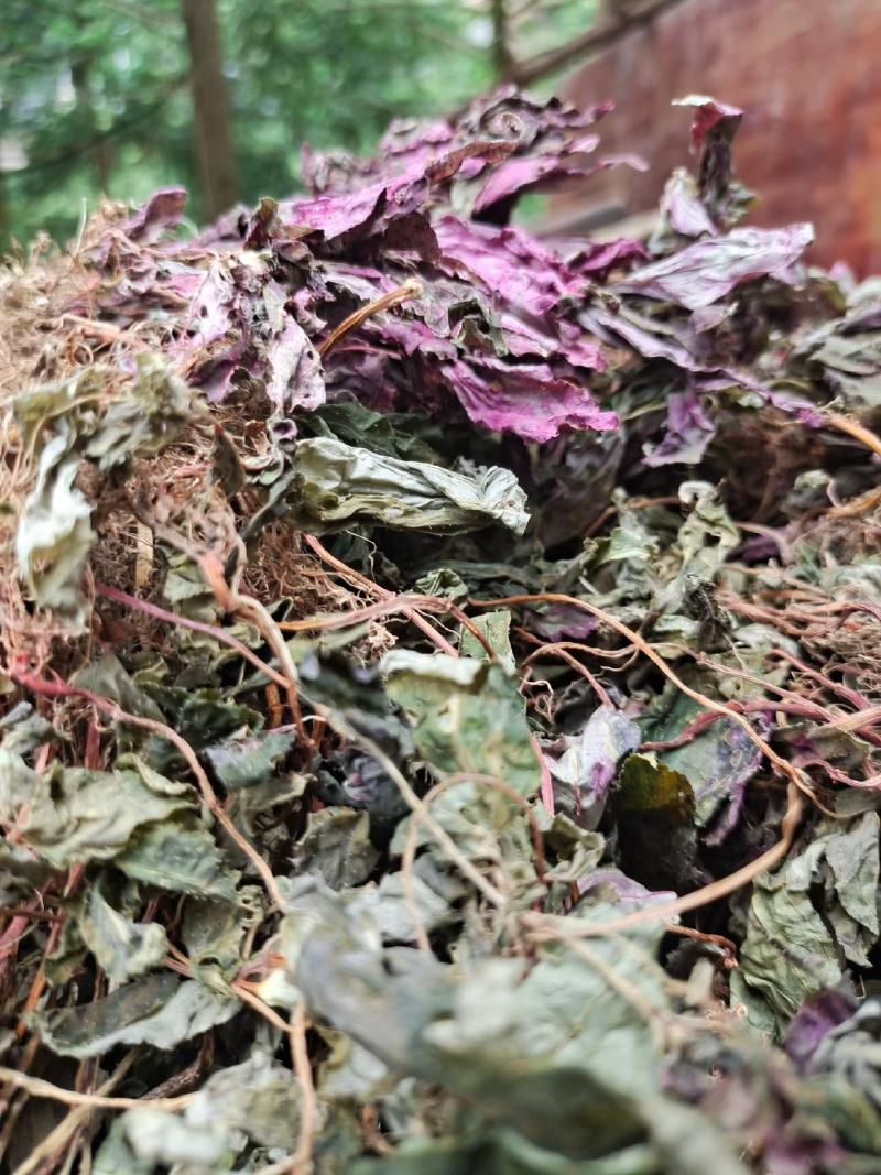 新货深山老林风柜斗草，自然晒干干净无杂草
