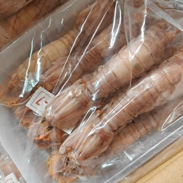 熟冻皮皮虾