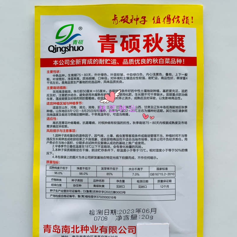 青硕秋爽黄心大白菜种子中熟75天筒形耐贮运耐寒秋播大白菜