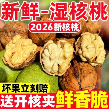 2026年青皮核桃，去皮湿核桃，支持各大电商平台一件代发