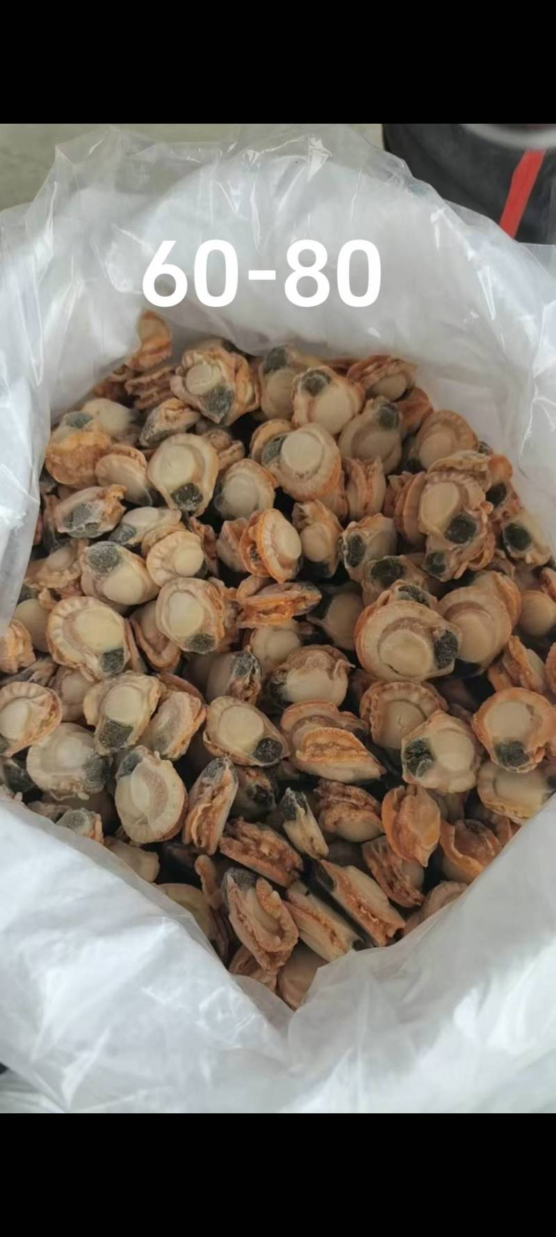 夏夷贝