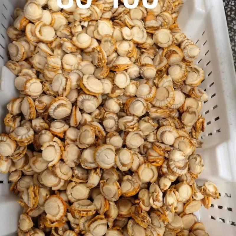 夏夷贝