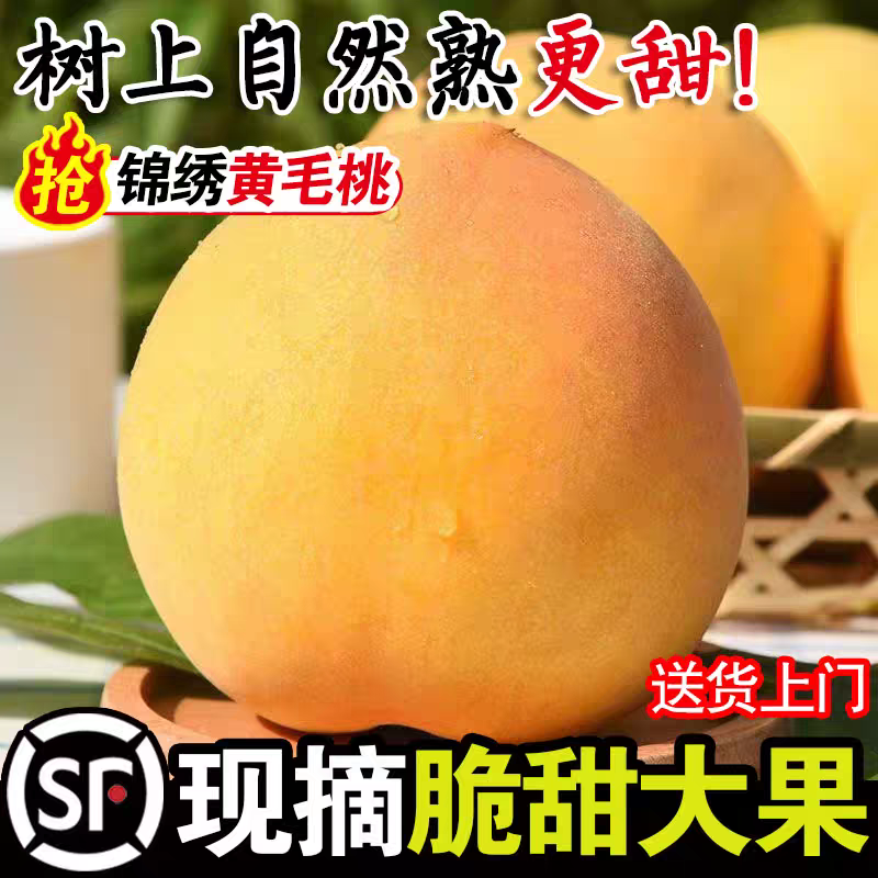 炎陵黄桃锦秀黄桃电商一件代发