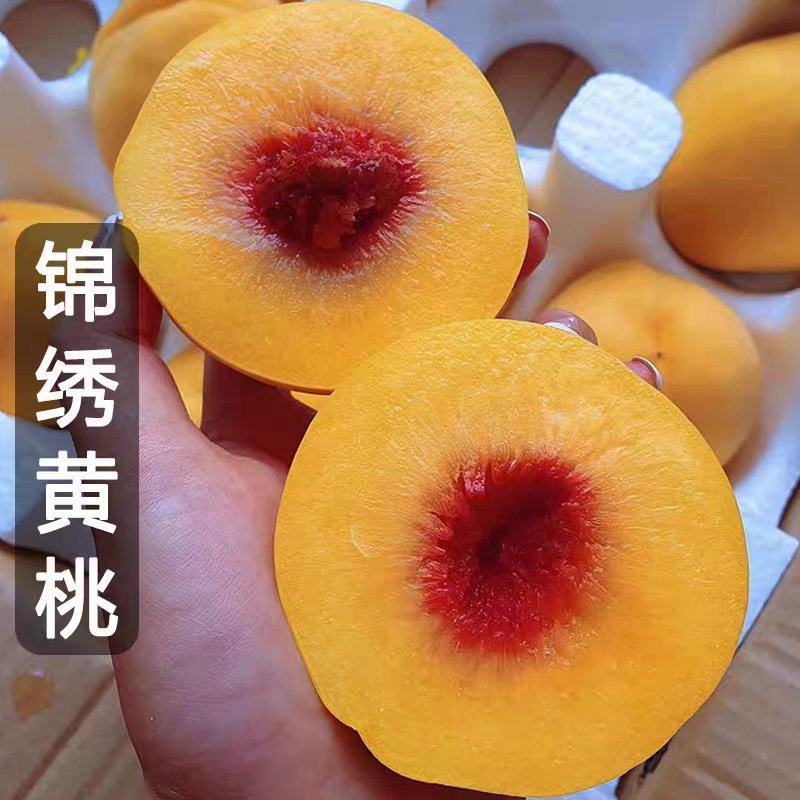 炎陵黄桃锦秀黄桃电商一件代发