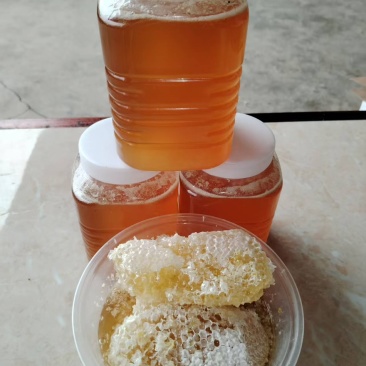 百分之百纯野生百花蜂蜜目前有10公斤出售