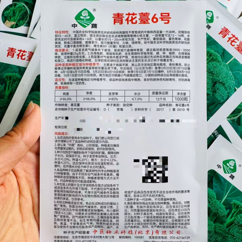中蔬青花薹6号种子农科院杂交西兰苔种子脆嫩多汁西蓝薹种籽