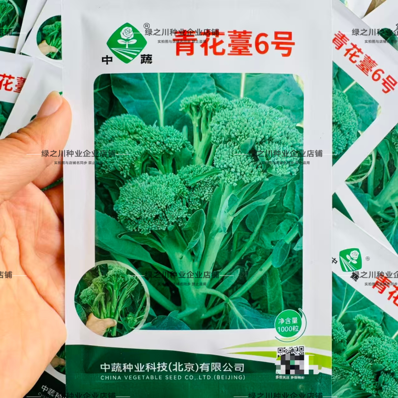 中蔬青花薹6号种子农科院杂交西兰苔种子脆嫩多汁西蓝薹种籽