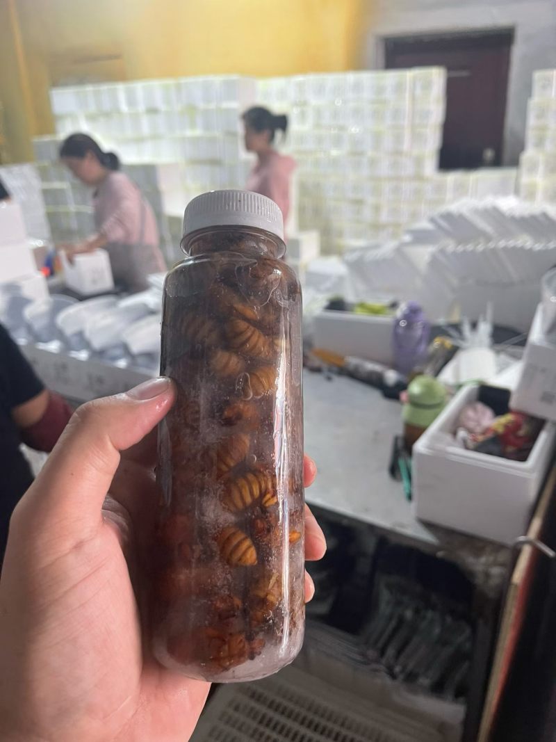 金蝉知了猴，专业电商一件代发，社区团购批发，有需要的随时