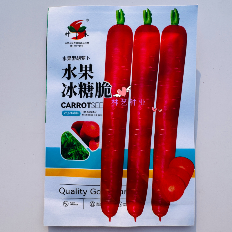 水果冰糖脆透心红水果胡萝卜种子甜脆生吃抗旱耐热夏秋季蔬菜