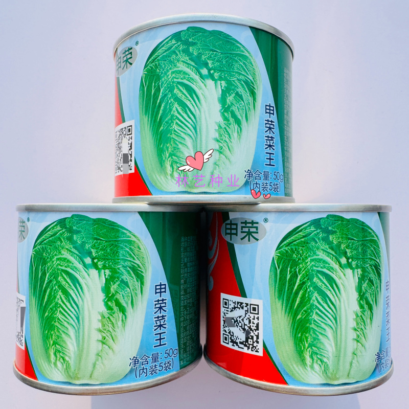 申荣菜王中晚熟大白菜种子叶球短圆筒形叠抱球顶圆口感细腻
