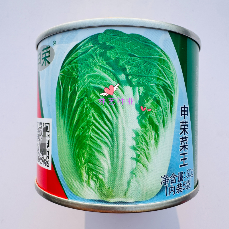 申荣菜王中晚熟大白菜种子叶球短圆筒形叠抱球顶圆口感细腻