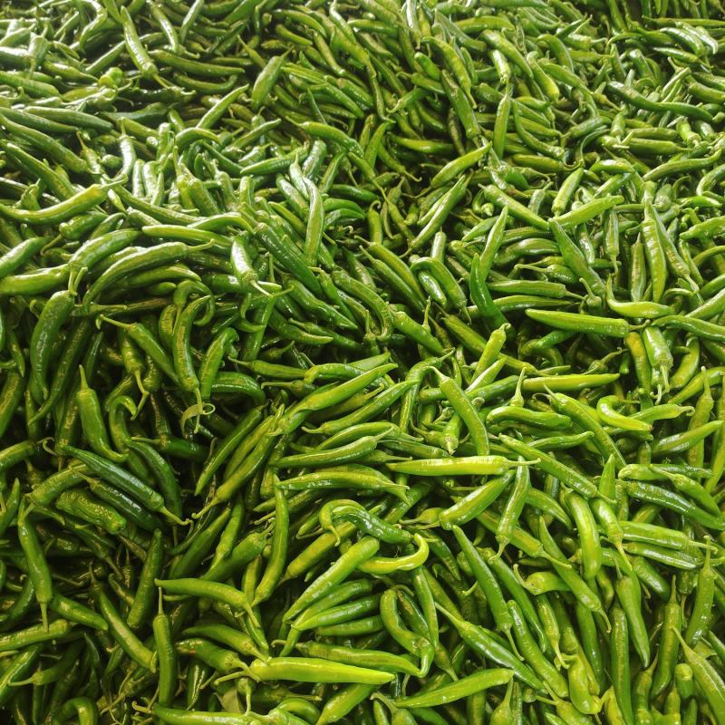 大椒