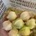 杨菇茑