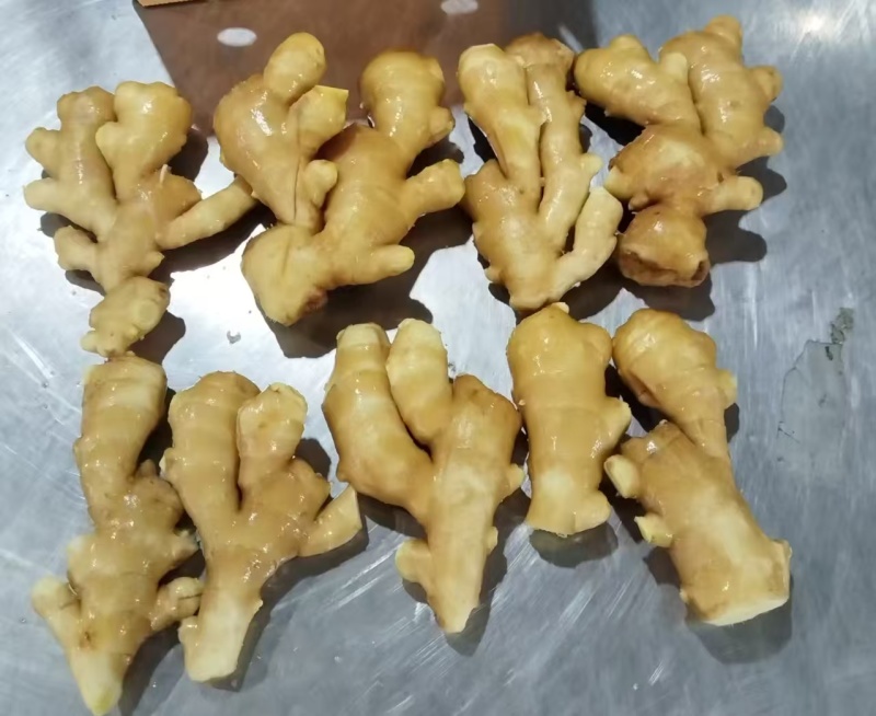 山东产地大姜大量现货供应货发全国批发水洗电商