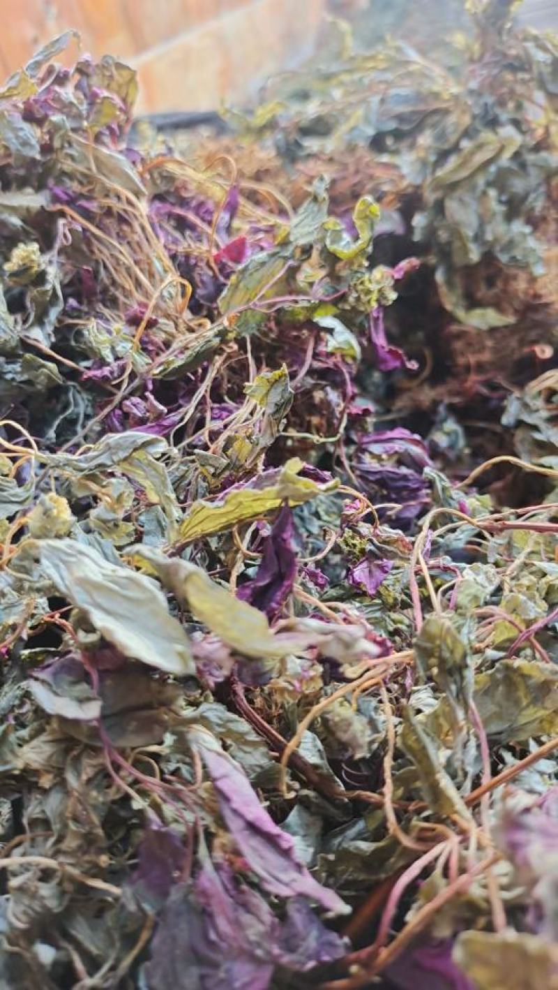 新货深山老林风柜斗草，自然晒干干净无杂草