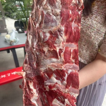 肋眼骨