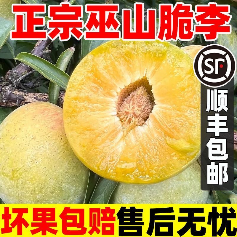 巫山脆李脱骨李青脆李正宗巫山脆李脱骨李
