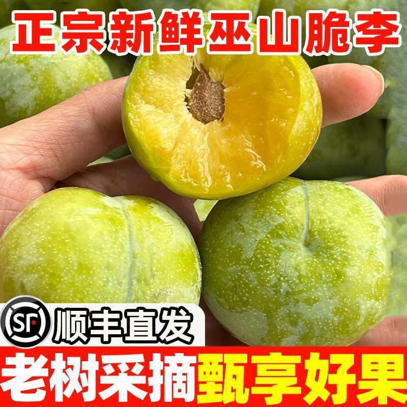 巫山脆李脱骨李青脆李正宗巫山脆李脱骨李