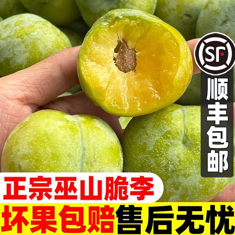 巫山脆李脱骨李青脆李正宗巫山脆李脱骨李