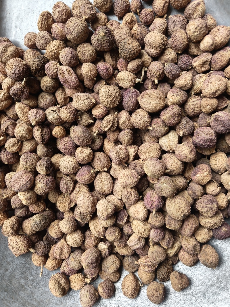春砂仁阳春砂仁有货