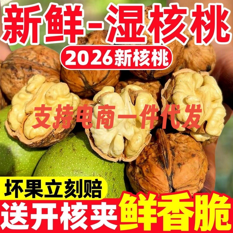 2026青皮核桃高品质支持电商一件代发代办整车发货