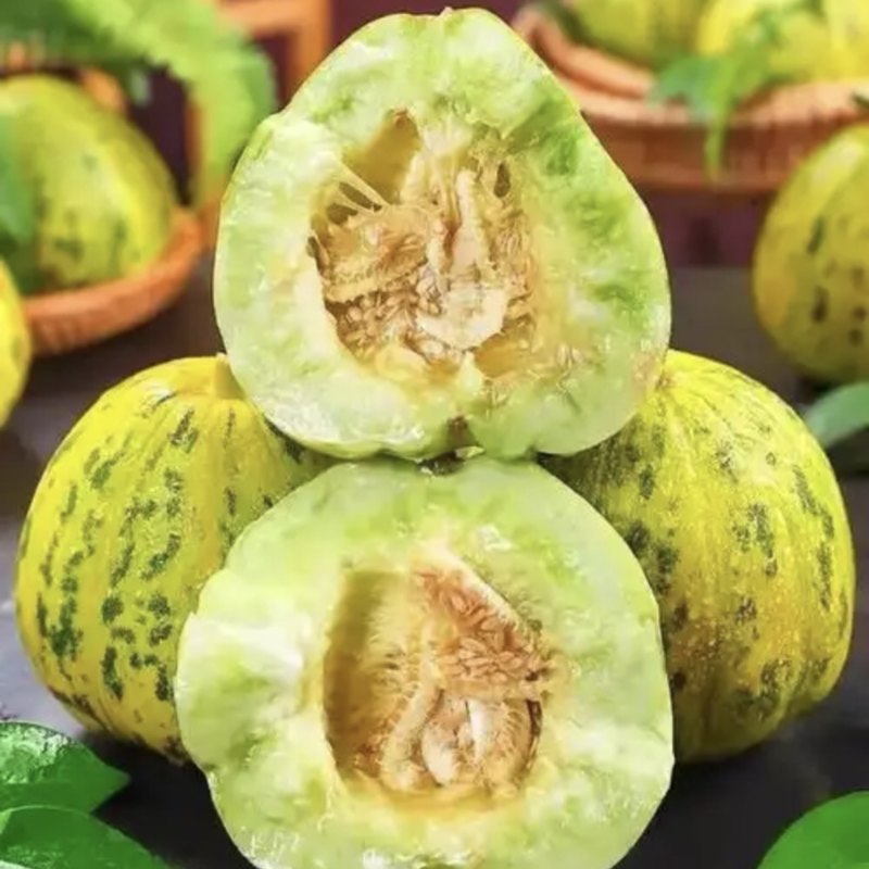 【精品】花蜜甜瓜基地直发价格美丽对接全国市场电商商超等
