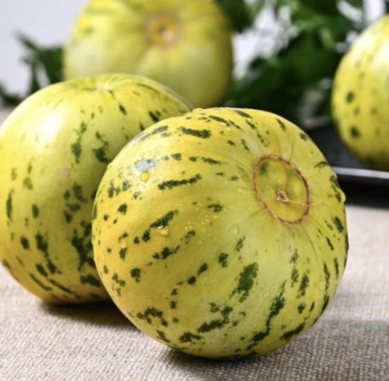 【精品】花蜜甜瓜基地直发价格美丽对接全国市场电商商超等