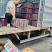 江苏徐州丰县大沙河华硕大青果电商商超全国发货