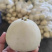 【精品】湖北美浓甜瓜小白瓜大量上市保质保量价格美丽