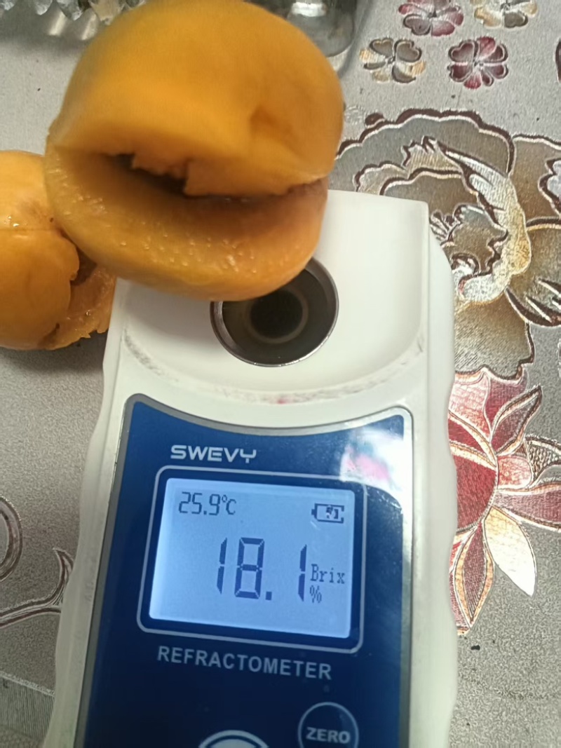 甘肃敦煌杏子/李广杏大量供应产地直发新鲜发货