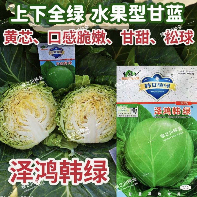 泽鸿韩绿水果甘蓝种子早熟黄芯包菜种子松软甘甜结球甘兰种籽