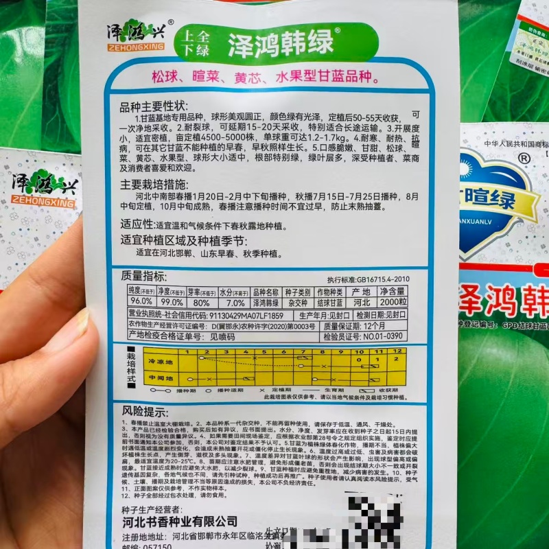 泽鸿韩绿水果甘蓝种子早熟黄芯包菜种子松软甘甜结球甘兰种籽