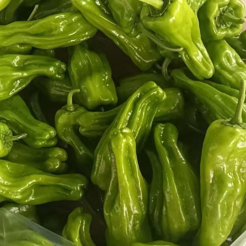 苏椒，小米辣，线椒