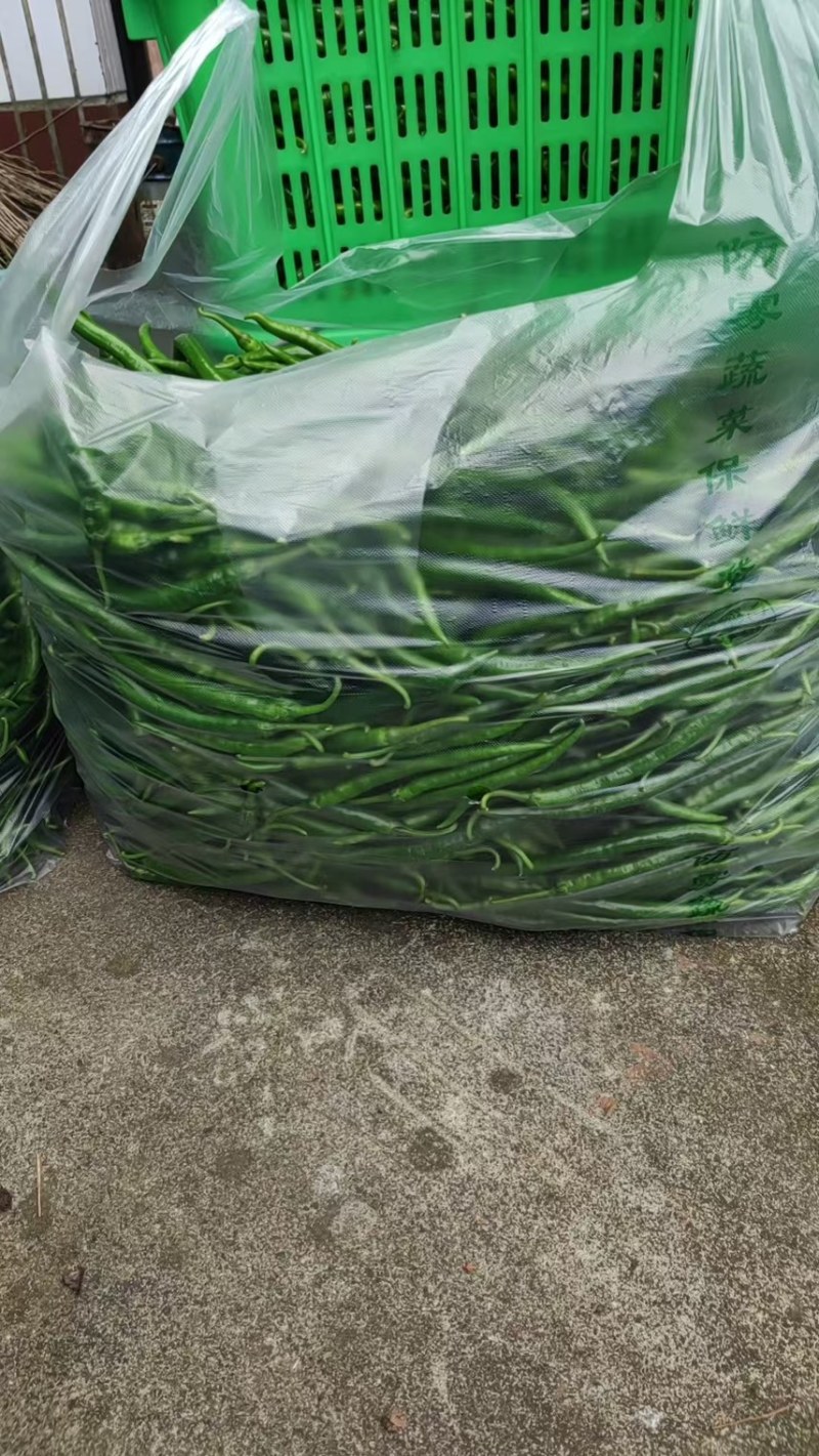苏椒，小米辣，线椒