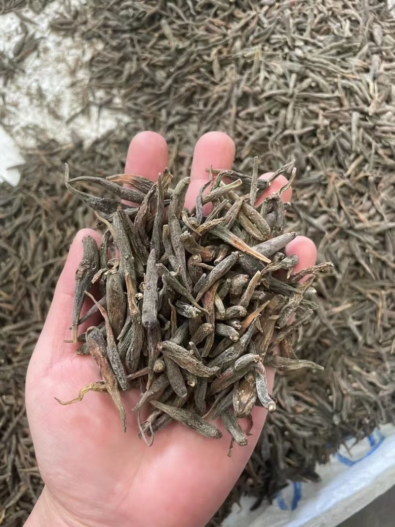 双参批发双肾参直播供应山货特产药材双肾参常年稳定供应有的