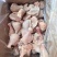 无注水单冻琵琶腿鲜品冻品厂家直供