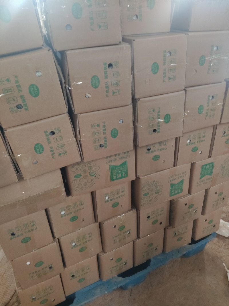 凯特芒果/市场/电商一件代发/套袋果