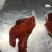 山东省临沂市沂南县卤味猪头肉厂家直销，支持贴牌定做