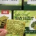 羽衣甘蓝片新品，生产厂家直发摆地摊跑江湖赶大集**